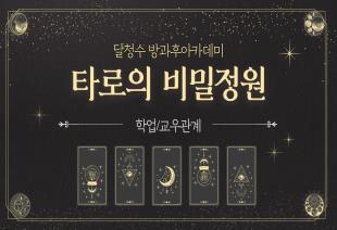 방과후 타로카드 수업